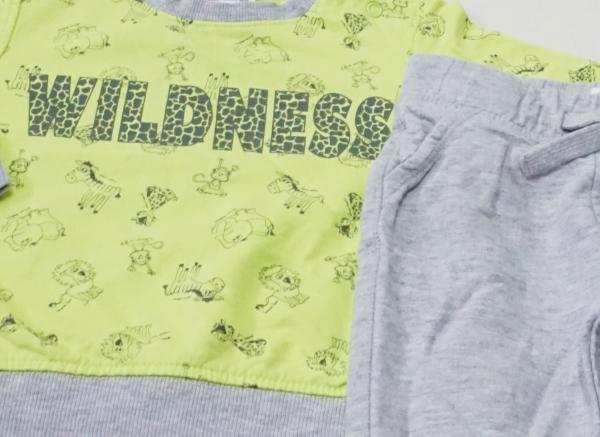 Sweatshirt von Ergee mit Sweathose von C&A Gr. 74 (907)